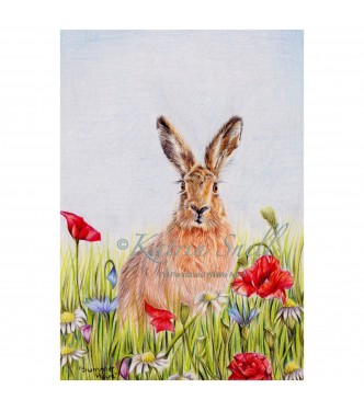 Summer Hare, 8x6 Limited Edition Giclee Print (Mounted) 