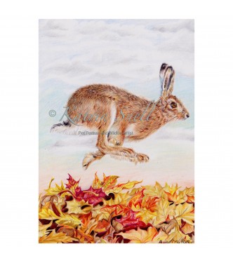 Autumn Hare, 8x6 Limited Edition Giclee Print (Mounted)