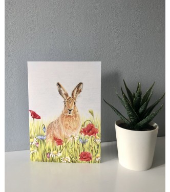‘Summer Hare’  Greetings Card