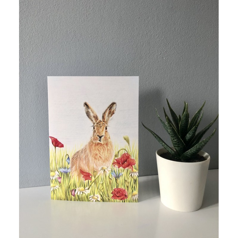 ‘Summer Hare’  Greetings Card
