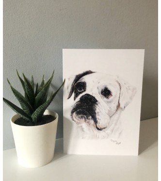 ‘Bay lee’ dog portrait greetings card 