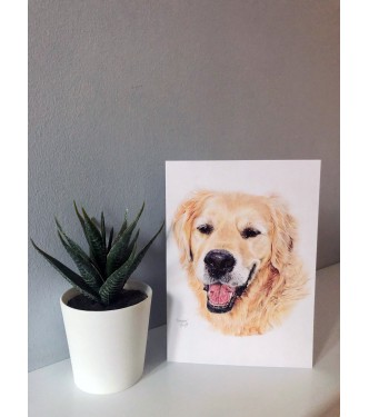 ‘Cracker’ dog portrait card