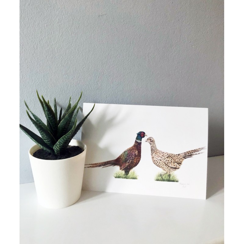 ‘Pheasant Love’ Blank Greetings Card 