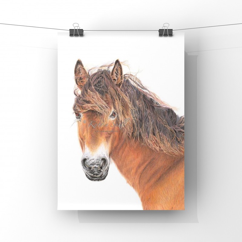 Breeze, A4 Limited Edition Giclee Print (unmounted) 