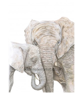 ‘Gentle giants’ A3 Limited edition print 