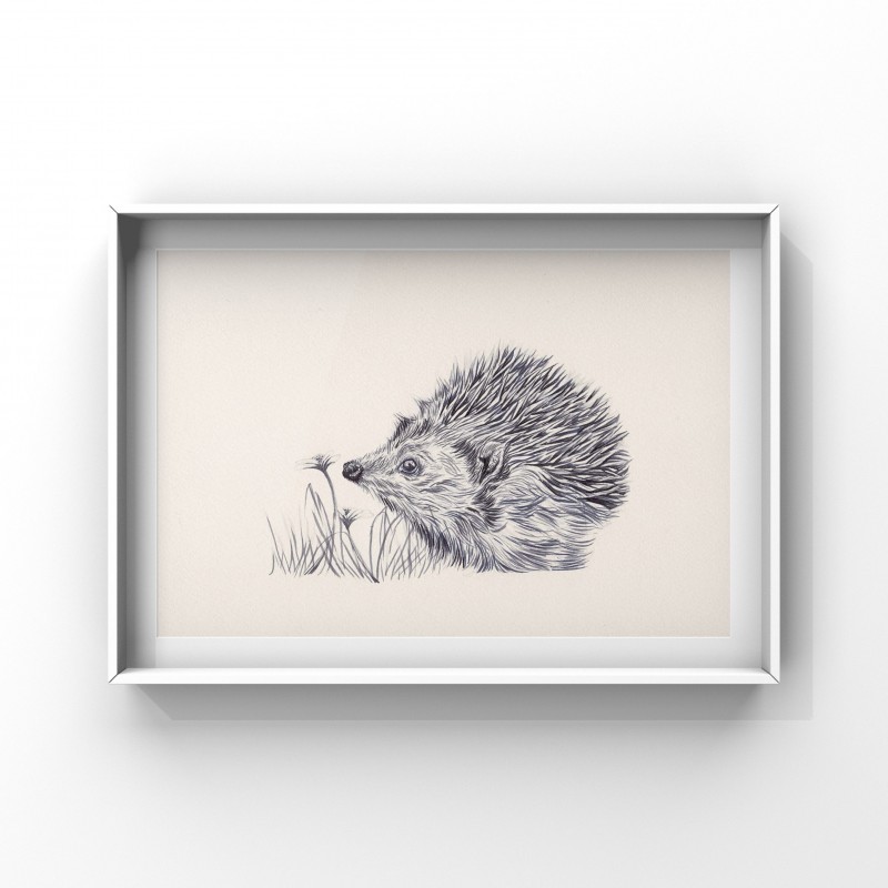 Prickles, 7x5 Giclee Print (Mounted)
