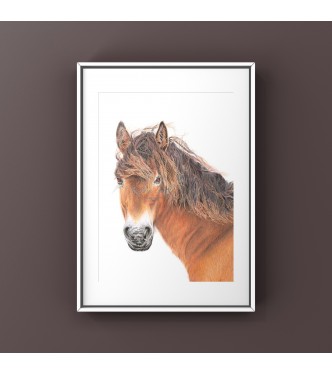 Breeze, 8x6 Limited Edition Giclee Print  (Mounted)