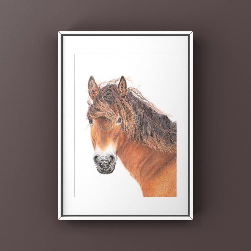 Breeze, A4 Limited Edition Giclee Print  (Mounted)