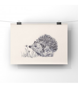 Prickles, 8x6 Giclee Print (unmounted)