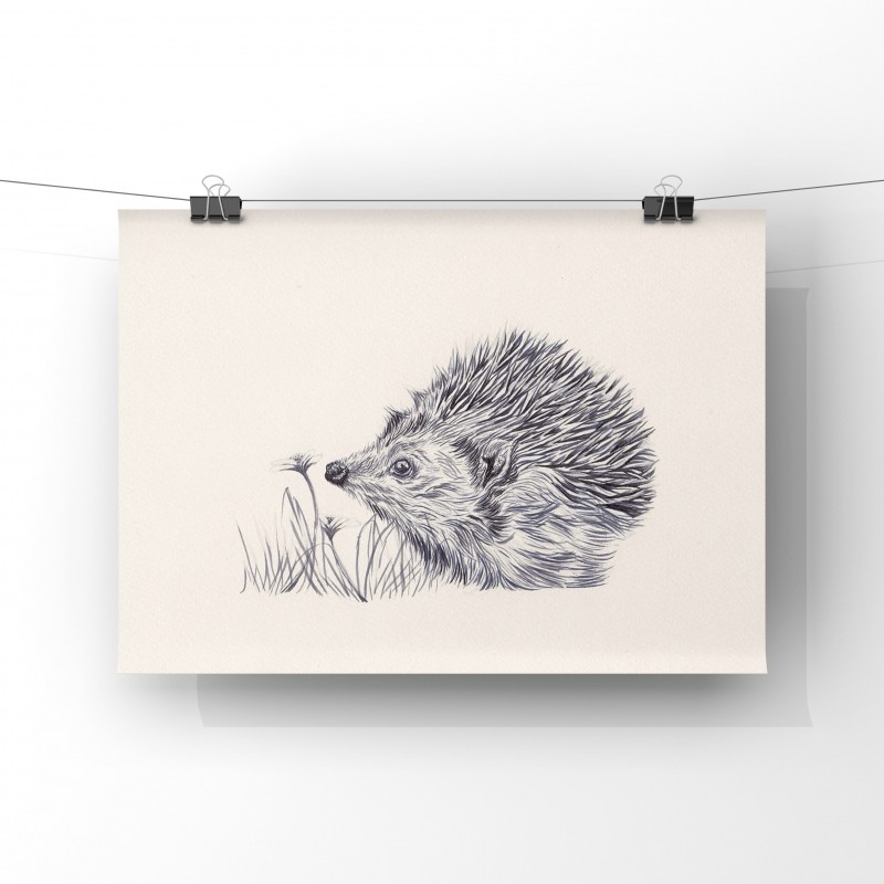 Prickles, 8x6 Giclee Print (unmounted) 