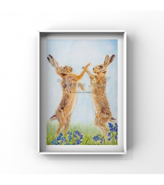 Spring Hares, 8x6 Limited Edition Giclee Print (Mounted) 