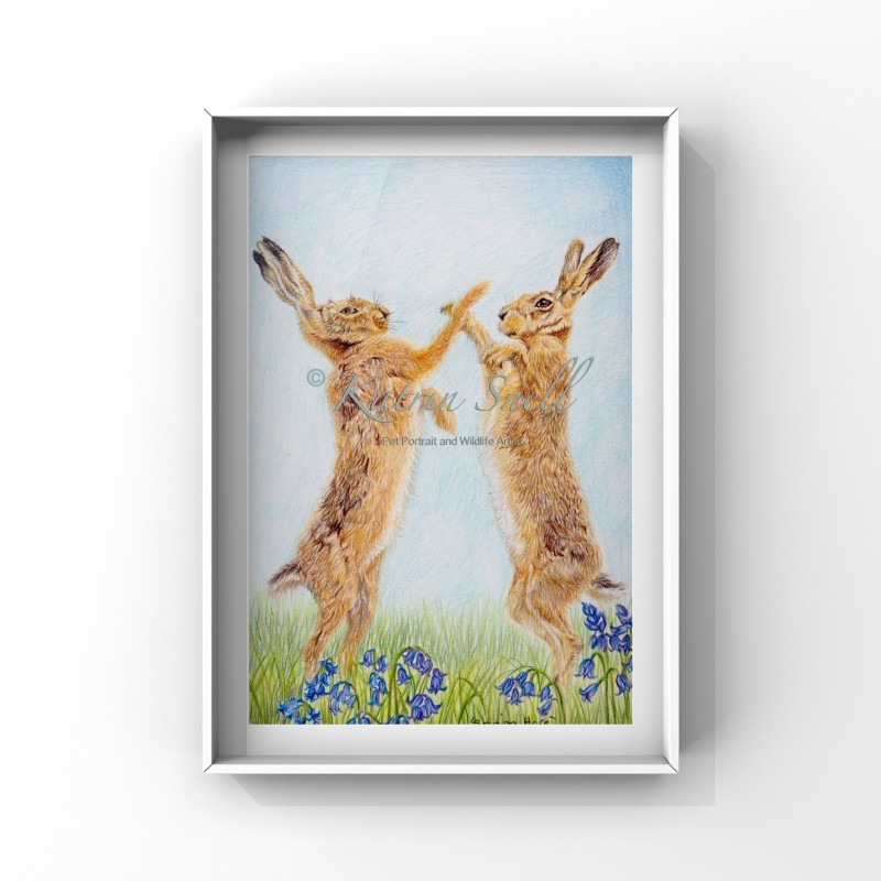 Spring Hares, 8x6 Limited Edition Giclee Print (Mounted) 