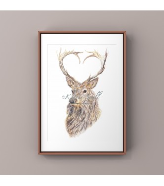 Valentine, 8x6 Limited Edition Giclee Print (Mounted)