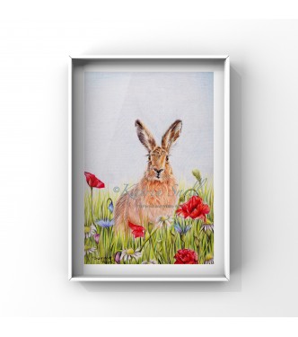 Summer Hare, 8x6 Limited Edition Giclee Print (Mounted) 