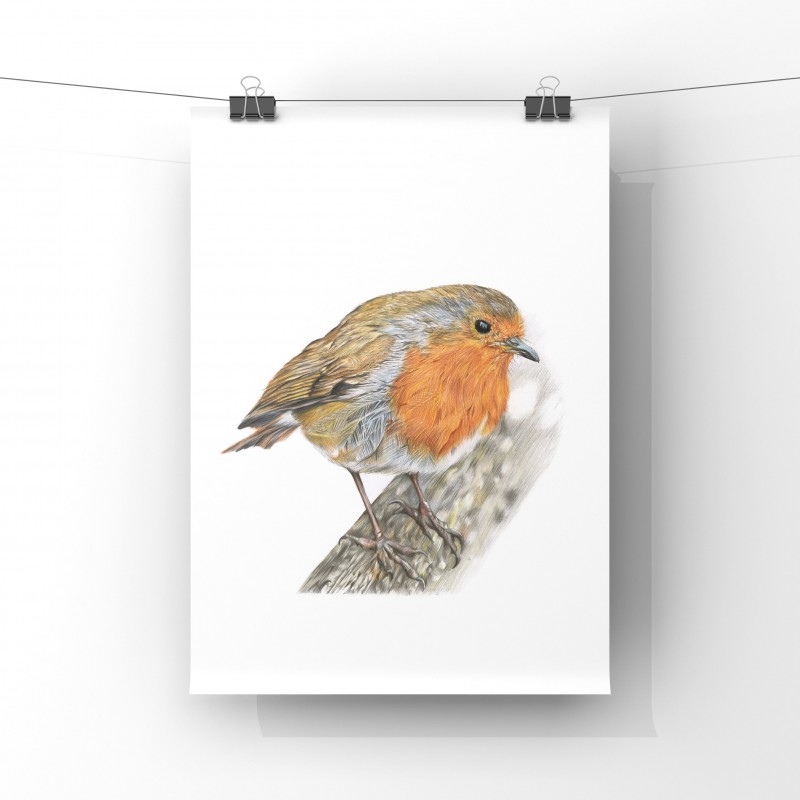 Rockin Robin, A4 Limited Edition Giclee Print (unmounted) 