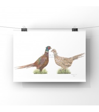 ‘Pheasant  Love’ A4 Limited Edition Giclee Print (unmounted)