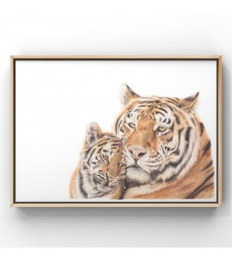 'Tiger Love' A3 Limited Edition print 