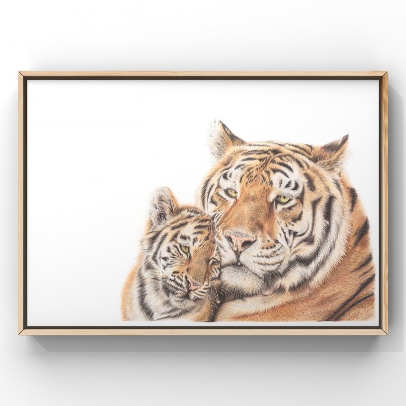 'Tiger Love' A4 Limited edition print 
