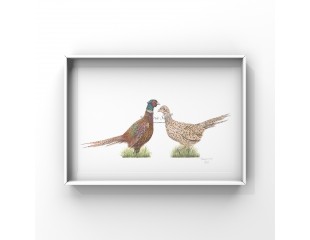 Pheasant Love, A4 Limited Edition Giclee  Print (Mounted) 