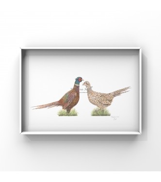 Pheasant Love, A4 Limited Edition Giclee  Print (Mounted)