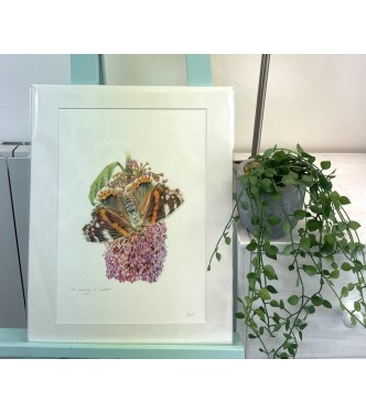 ‘The beauty in nature’ collect from studio 