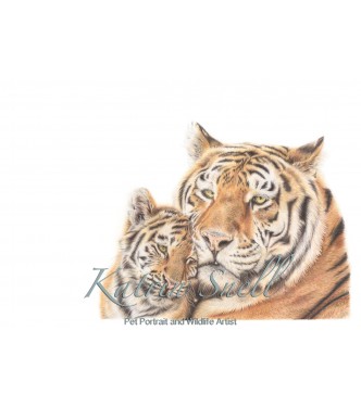 'Tiger Love' A4 Limited edition print