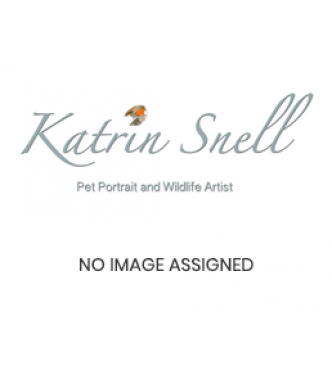A4 Pet portrait Gift Card (single) £330