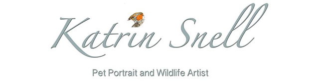 Katrin Snell | Pet Portrait and Wildlife Artist